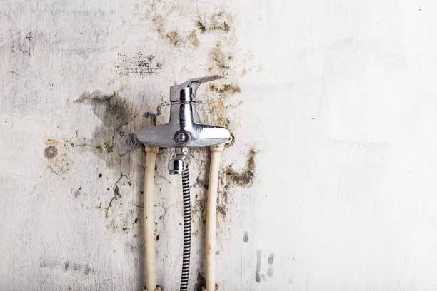 Mold Removal and Inspection in Seaford, NY