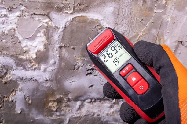 Best Attic Mold Removal  in Seaford, NY
